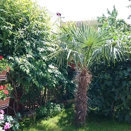 Jaklin Apartament Rovinj